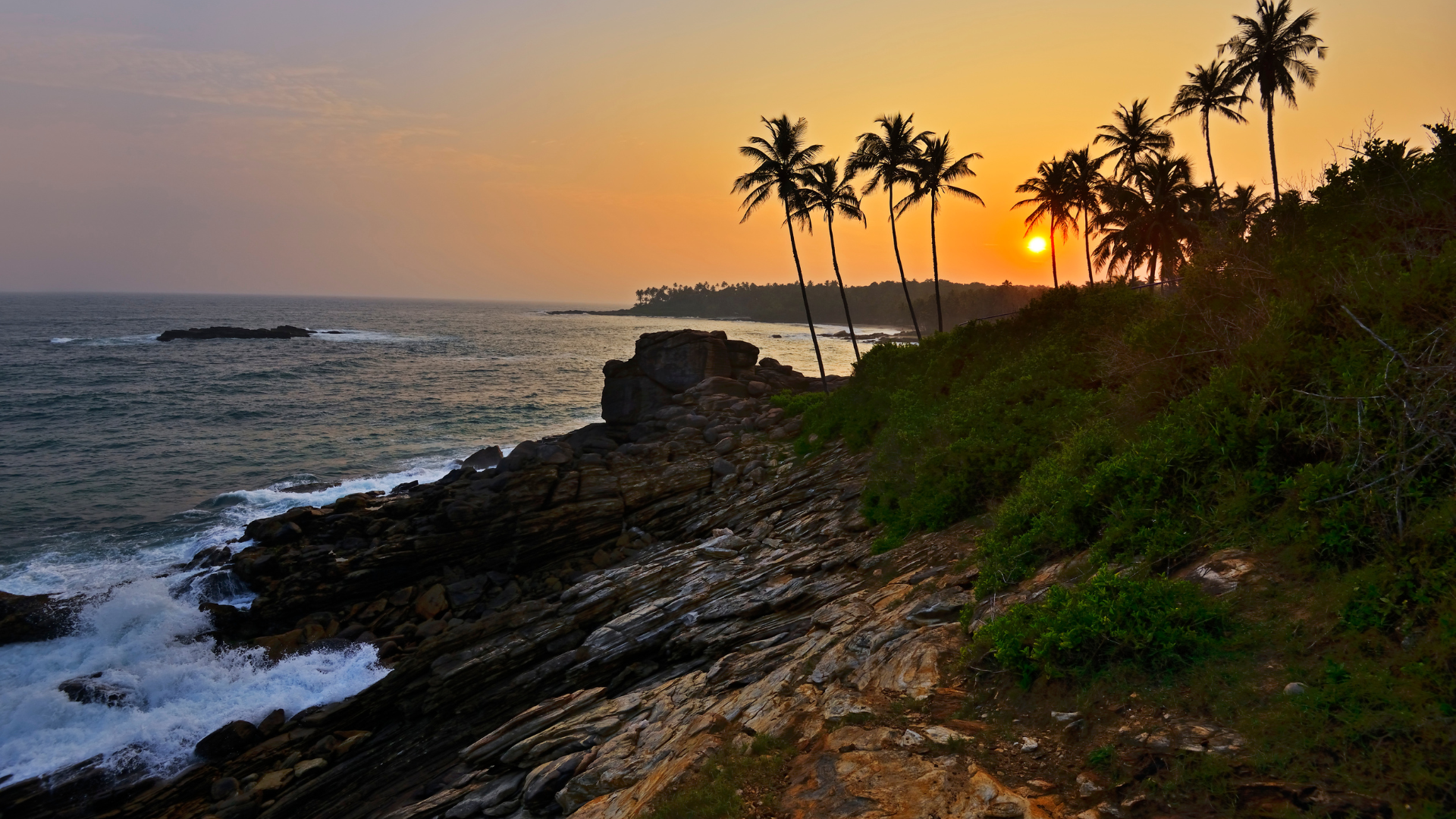 Why Visit Hikkaduwa? A Tropical Paradise Awaits